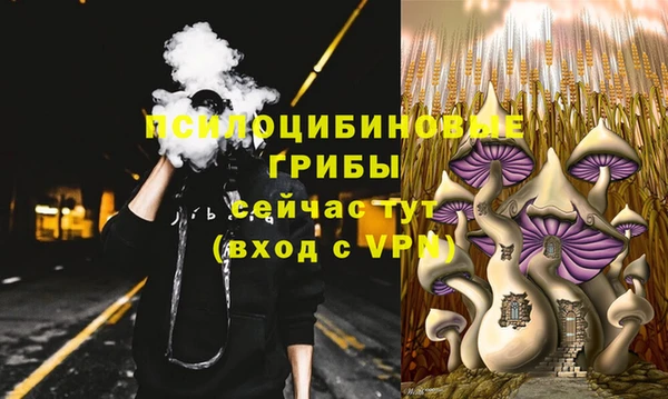 мет Богданович