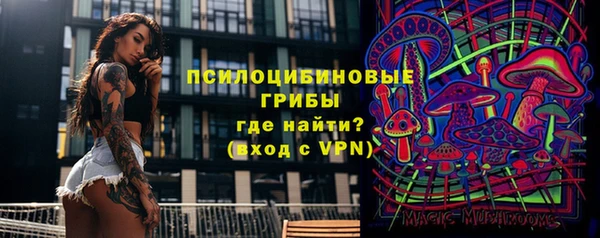 мет Богданович
