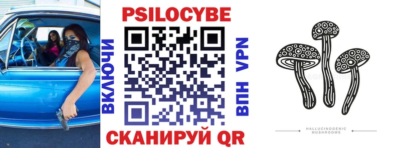 Псилоцибиновые грибы Psilocybe  Вельск 